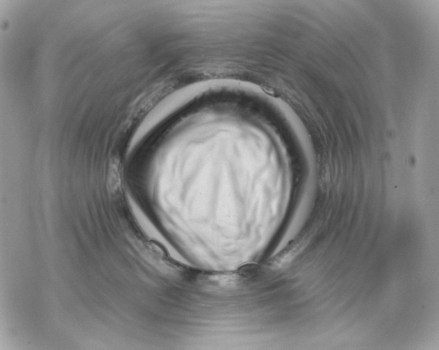 X0000070210478200606161646