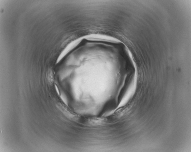 X0000070210479200606161646