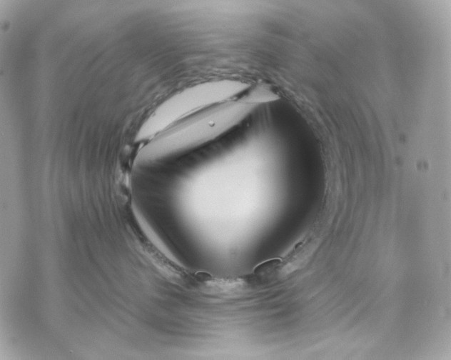 X0000070210480200606161646