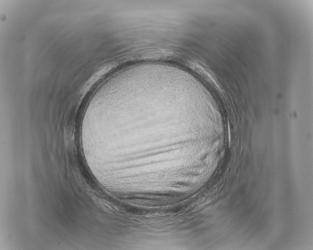 X0000070210483200606161645