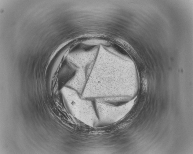 X0000070210484200606161645