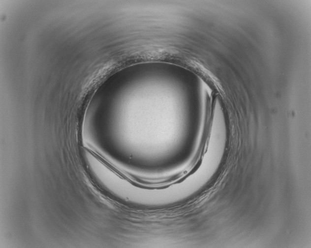 X0000070210493200606161645