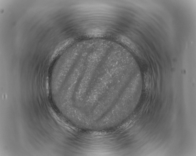 X0000070210494200606161645