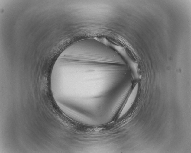 X0000070210497200606161645