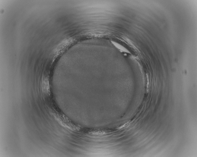 X0000070210500200606161645