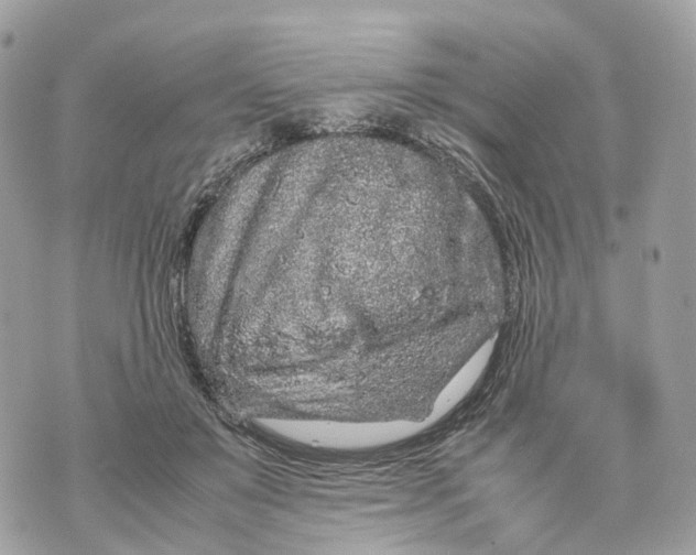 X0000070210503200606161645