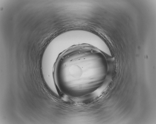 X0000070210505200606161645