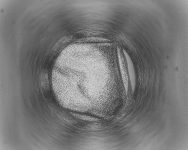 X0000070210506200606161645