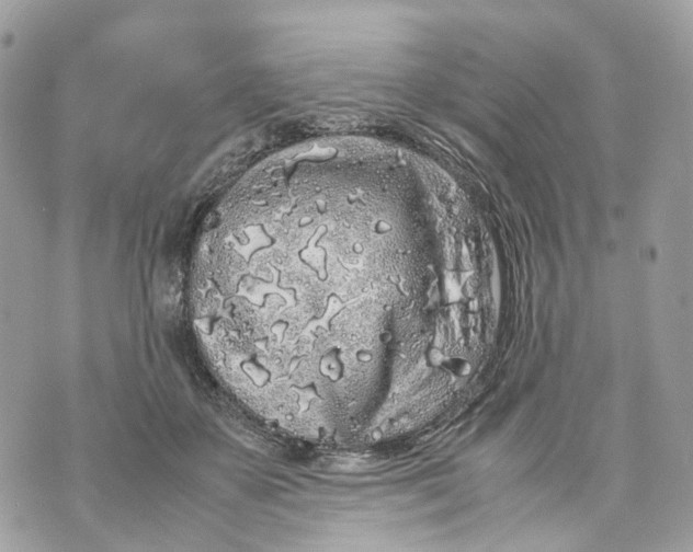 X0000070210507200606161645