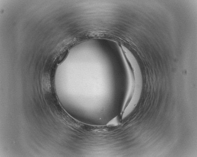 X0000070210508200606161645