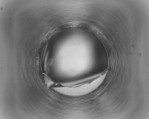 X0000070210509200606161645