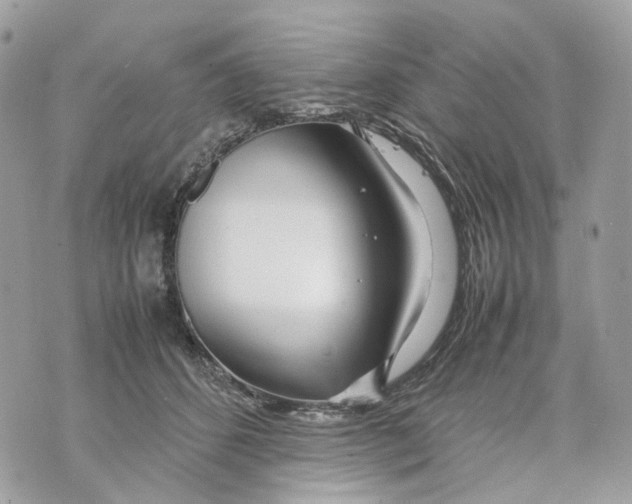 X0000070210512200606161645