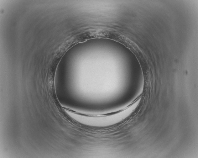 X0000070210513200606161645