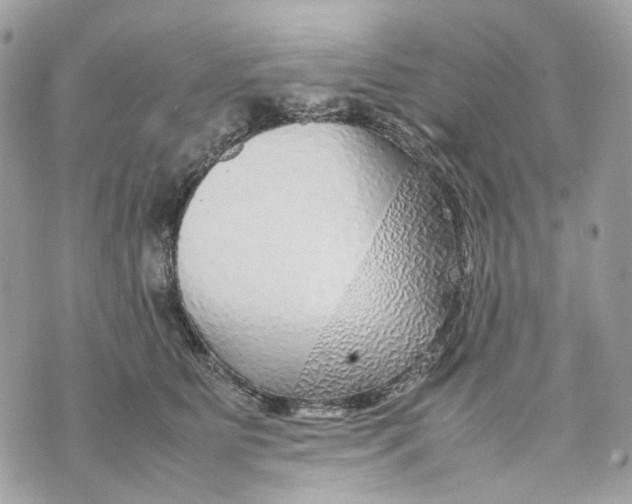 X0000070210515200606161645