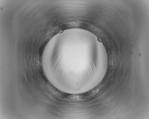 X0000070210518200606161645
