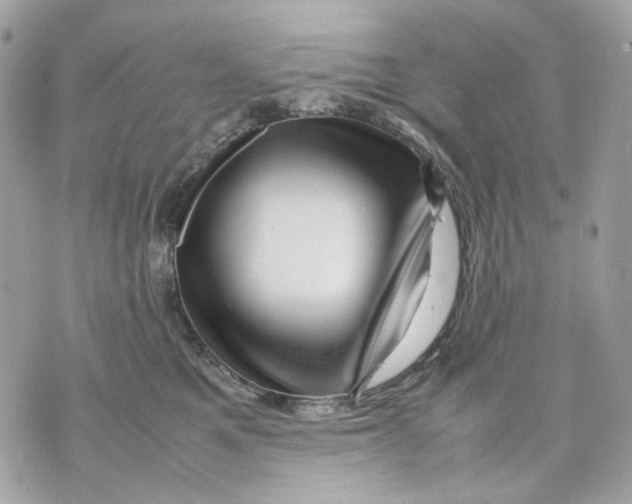 X0000070210521200606161645