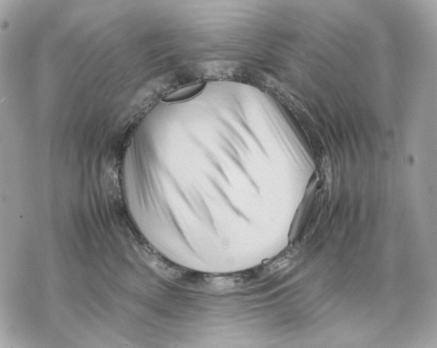 X0000070210522200606161645