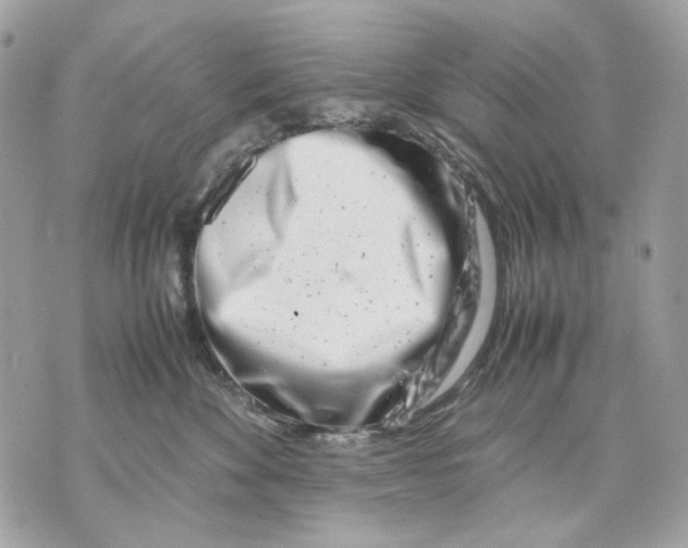 X0000070210524200606161645