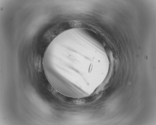 X0000070210525200606161645