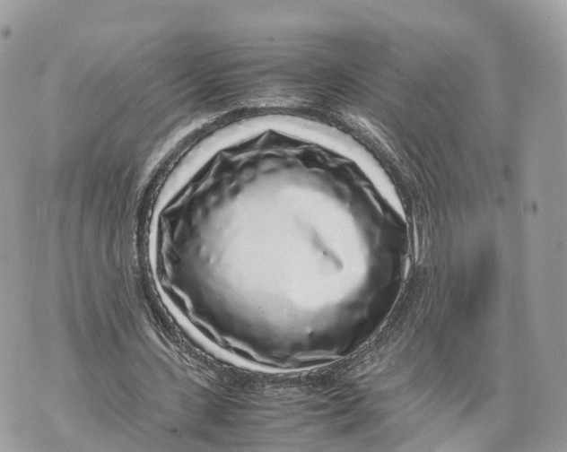 X0000070210531200606161644