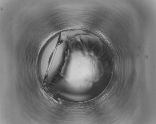 X0000070210532200606161644