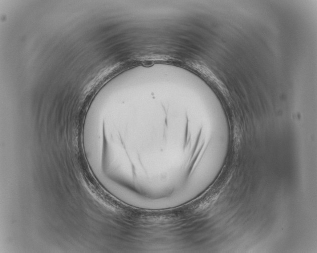 X0000070210533200606161644