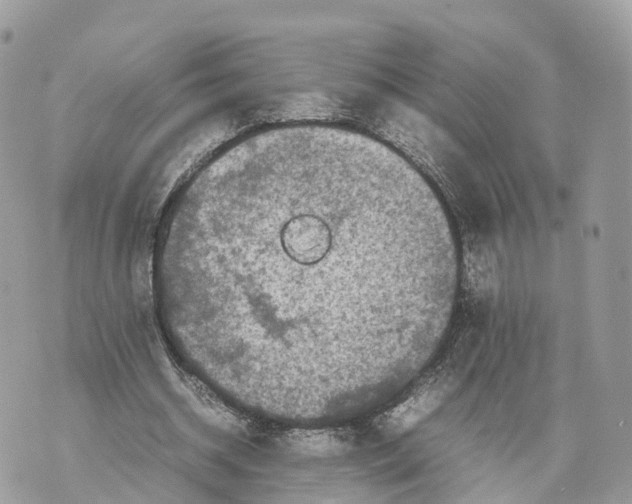 X0000070210534200606161644