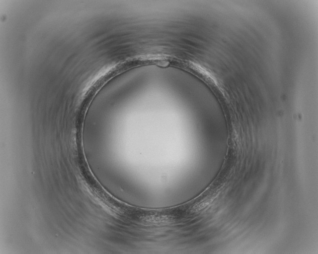 X0000070210535200606161644