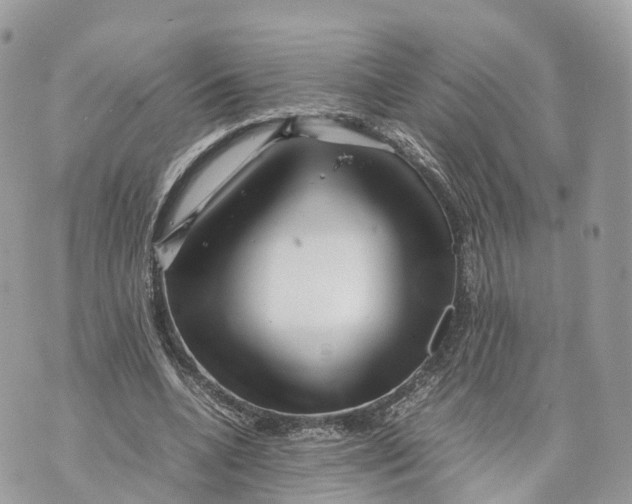 X0000070210536200606161644