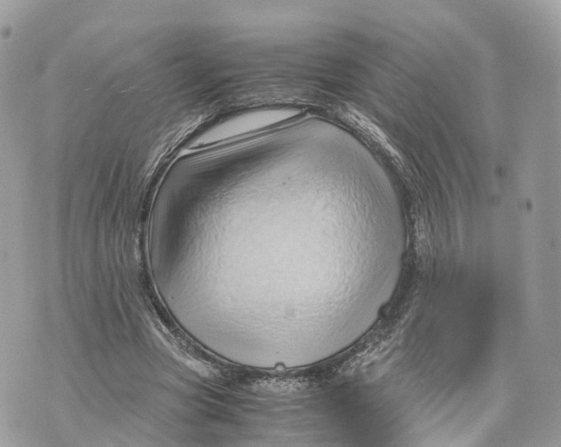 X0000070210537200606161644