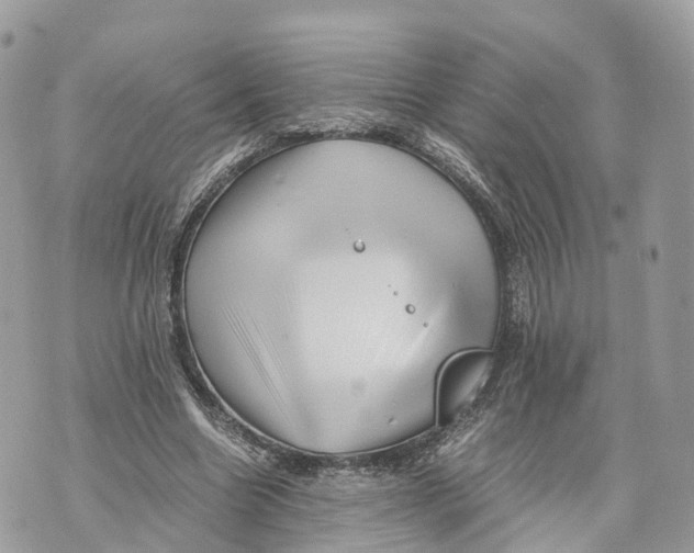 X0000070210538200606161644