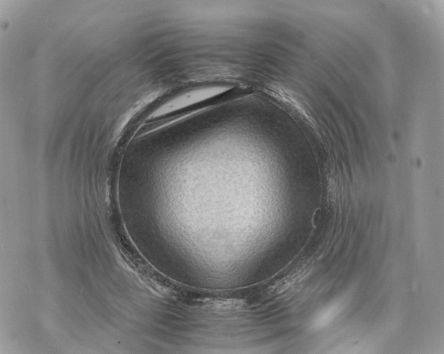 X0000070210539200606161644