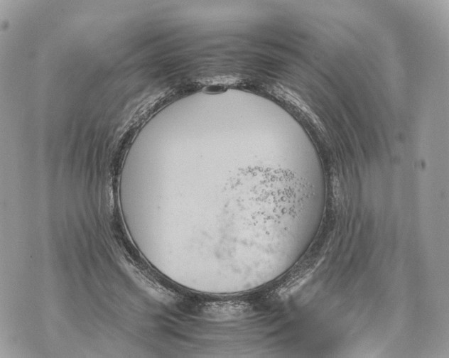 X0000070210541200606161644