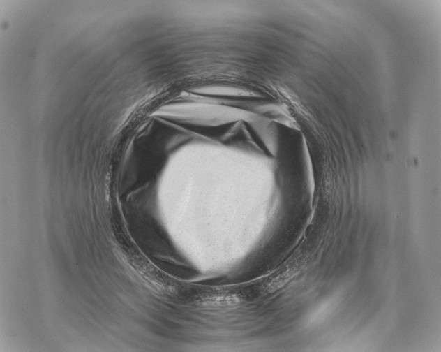 X0000070210543200606161644