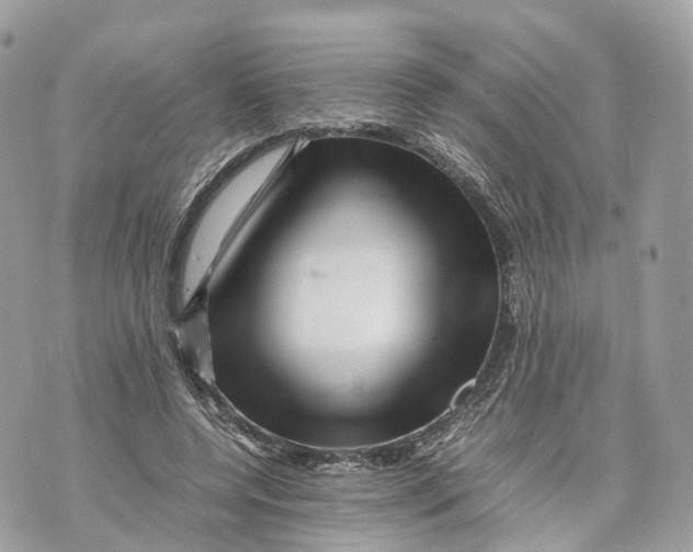 X0000070210544200606161644