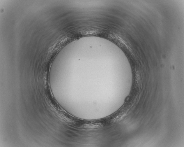 X0000070210545200606161644