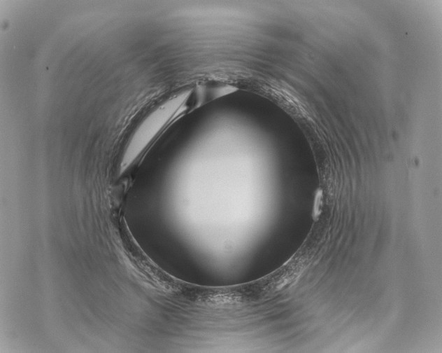 X0000070210546200606161644