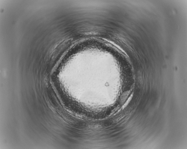 X0000070210547200606161644