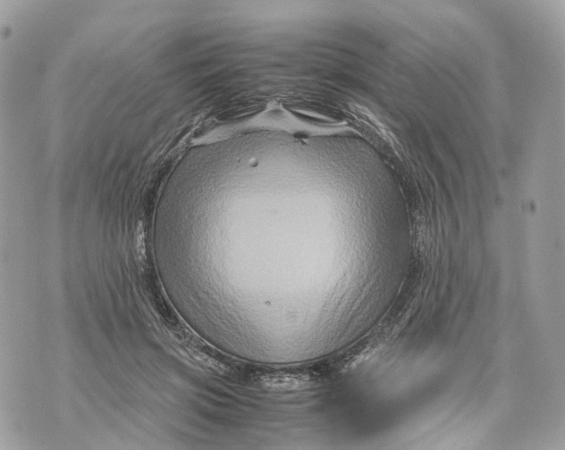 X0000070210549200606161644