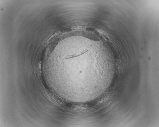 X0000070210550200606161644