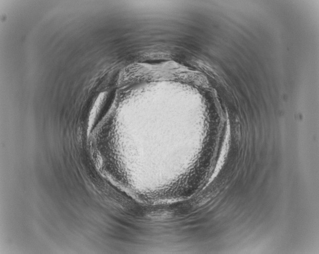 X0000070210551200606161644