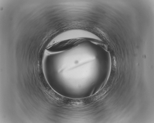 X0000070210552200606161644