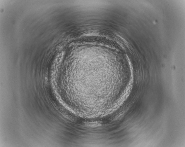 X0000070210553200606161644