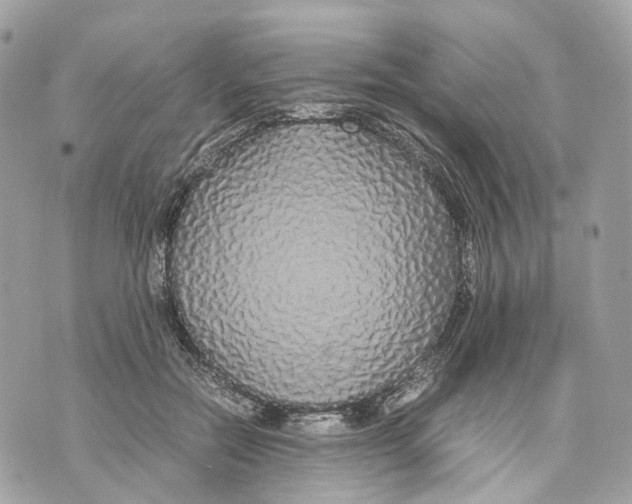 X0000070210554200606161644