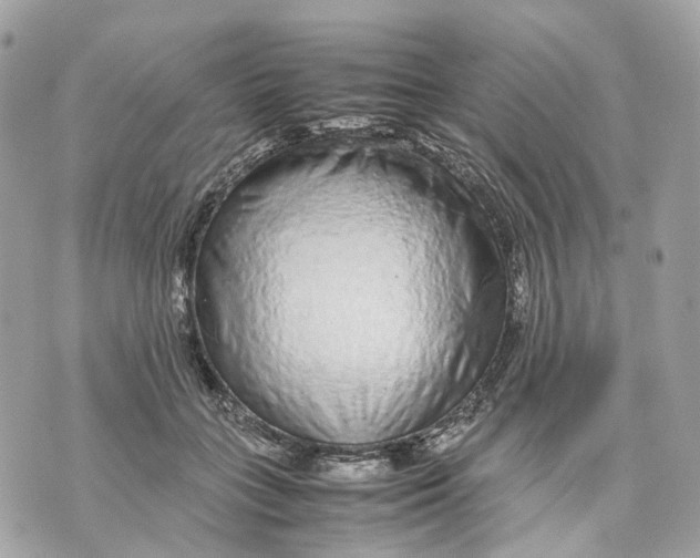 X0000070210555200606161644