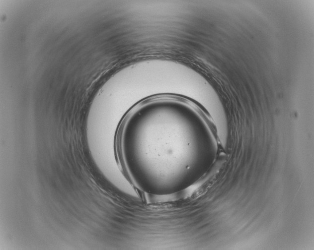 X0000070210556200606161644