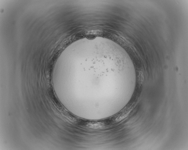 X0000070210557200606161644