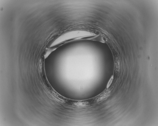 X0000070210558200606161644