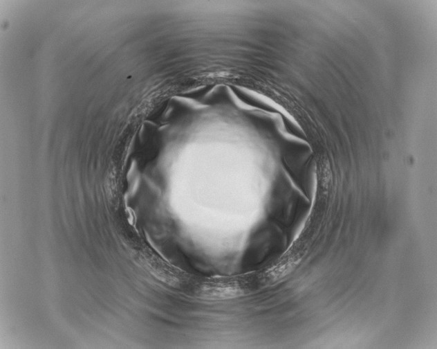 X0000070210559200606161644