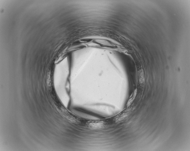 X0000070210560200606161644